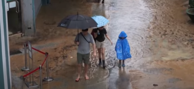 Hong Kong Grapples with Devastating Floods