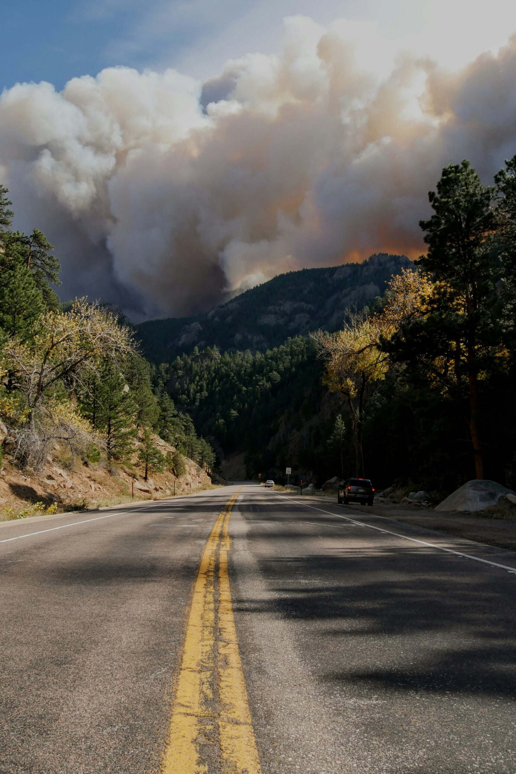 Devastation in the Los Angeles Area: The Toll of Wildfires