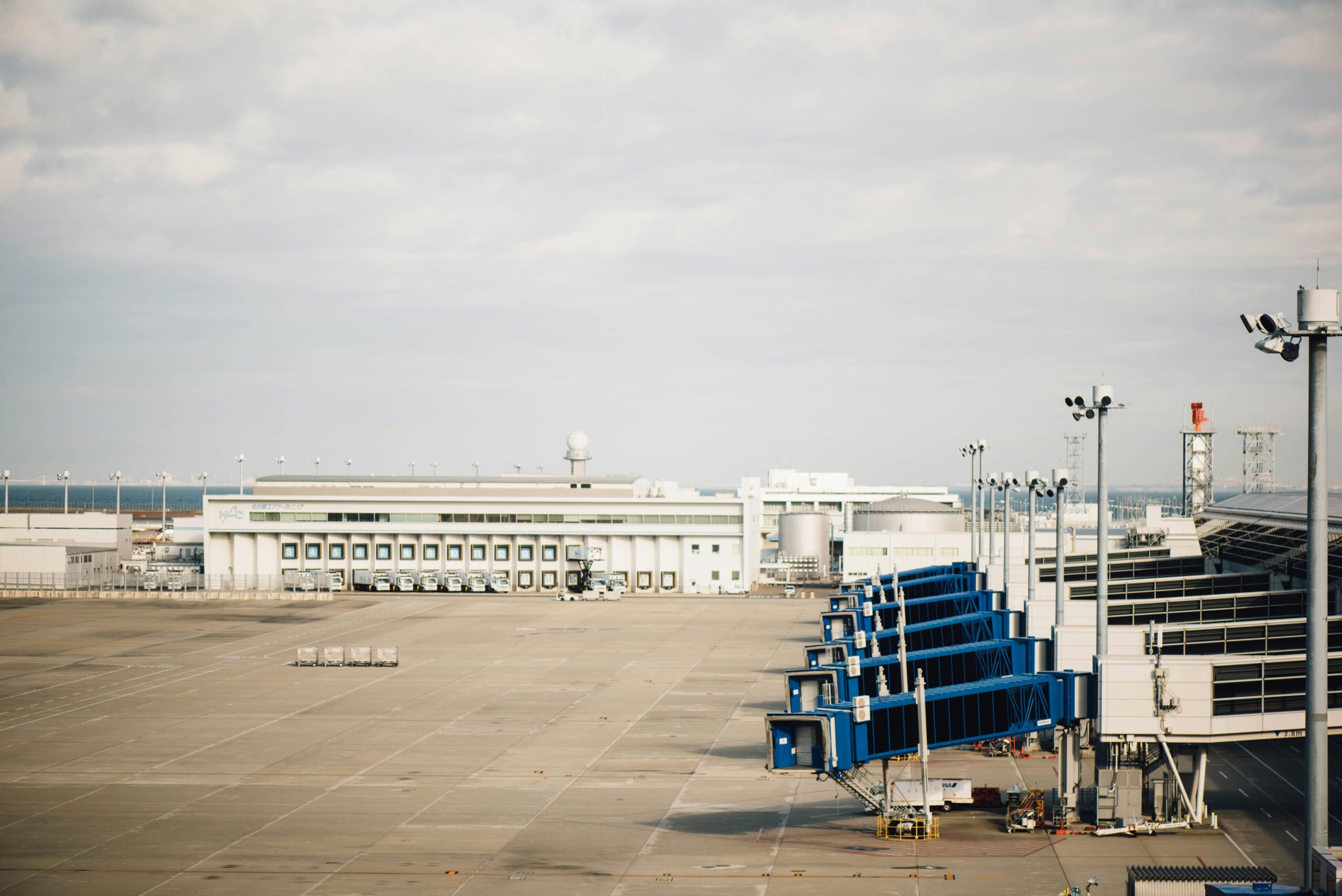 Delta Airlines Flight 4819 Crash at Toronto Pearson Airport: Latest Updates and Insights