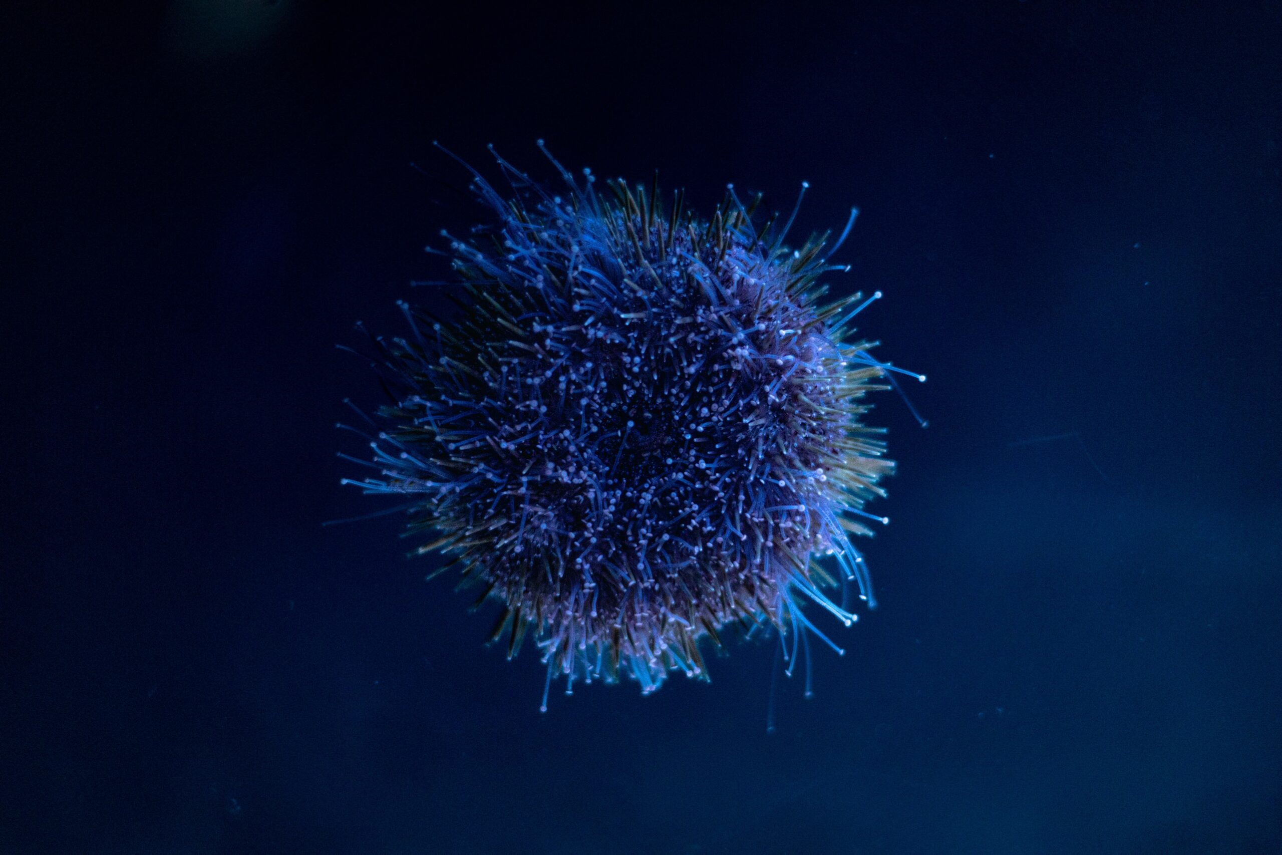 Nobel Prize in Medicine 2025: Celebrating Groundbreaking Discoveries in Immune System Research